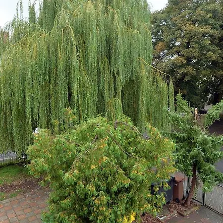 Apartment Grey 5 - Goerlitz