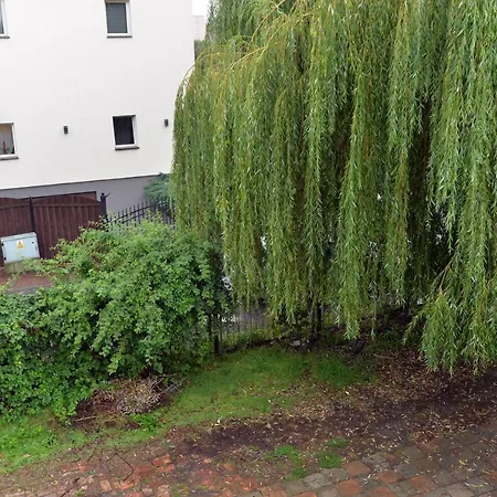 Grey 5 - Goerlitz Zgorzelec