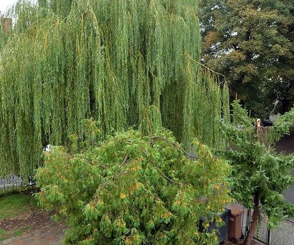 Apartament Grey 5 - Görlitz